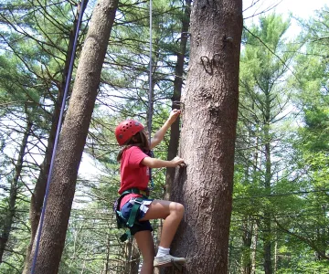 Kid in red shirt and helmet climbing tree with safety harness at Camp Yomechas